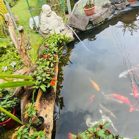 Chambres D'Hotes L'Orchidee Rose Salazie Kültér fotó