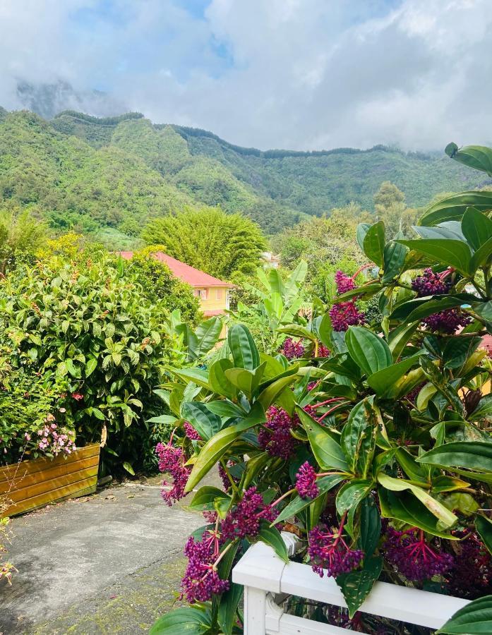 Chambres D'Hotes L'Orchidee Rose Salazie Kültér fotó