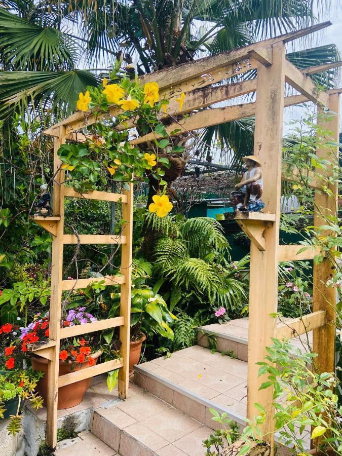 Chambres D'Hotes L'Orchidee Rose Salazie Kültér fotó