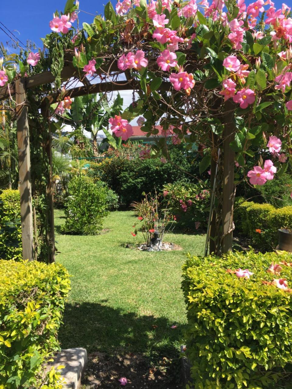 Chambres D'Hotes L'Orchidee Rose Salazie Kültér fotó